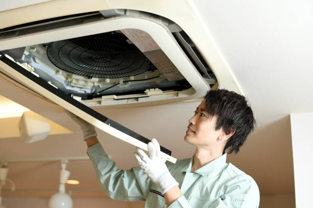 Best Home Air Vent Cleaning  in Shelton, WA