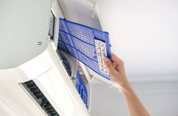 Best Affordable Duct Cleaning Services  in Shelton, WA